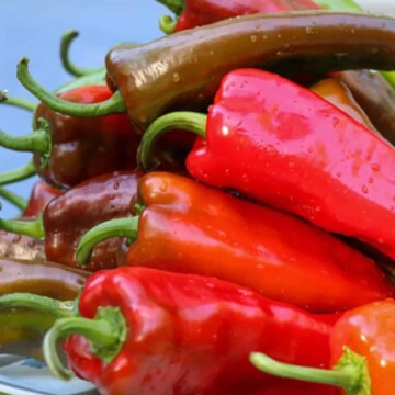 The Best Chiles Rellenos Recipe: Delicious and Easy
